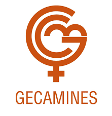 Logo gecamines